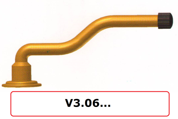 v306
